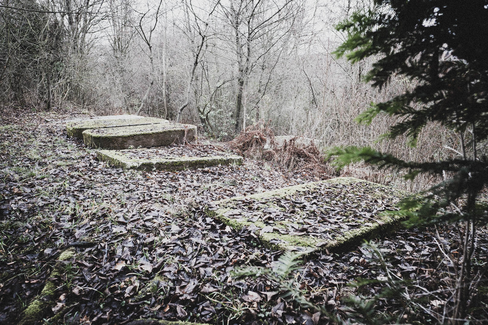 Bovenden, Jüdischer Friedhof